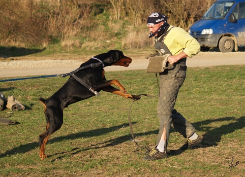 Training in Prague 3/2007